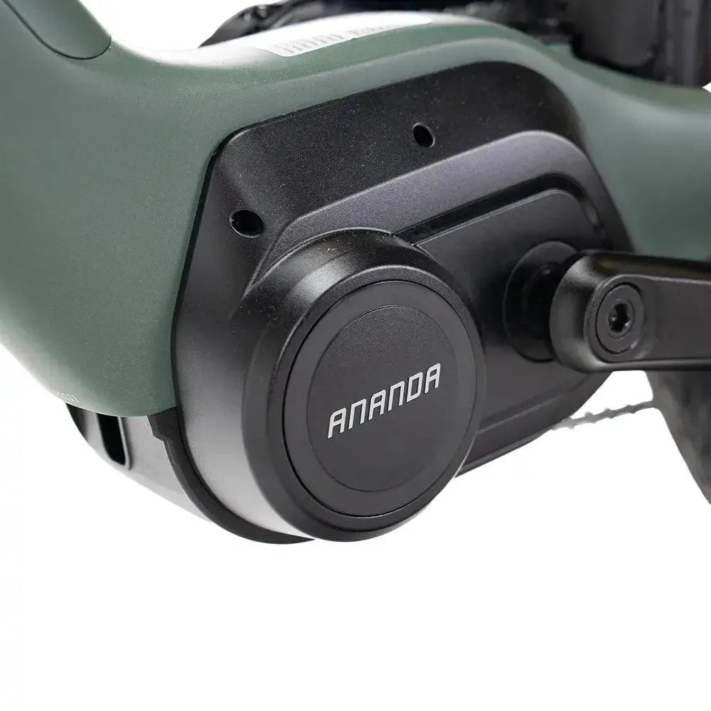 ENGWE Mapfour N1 Pro - Groen