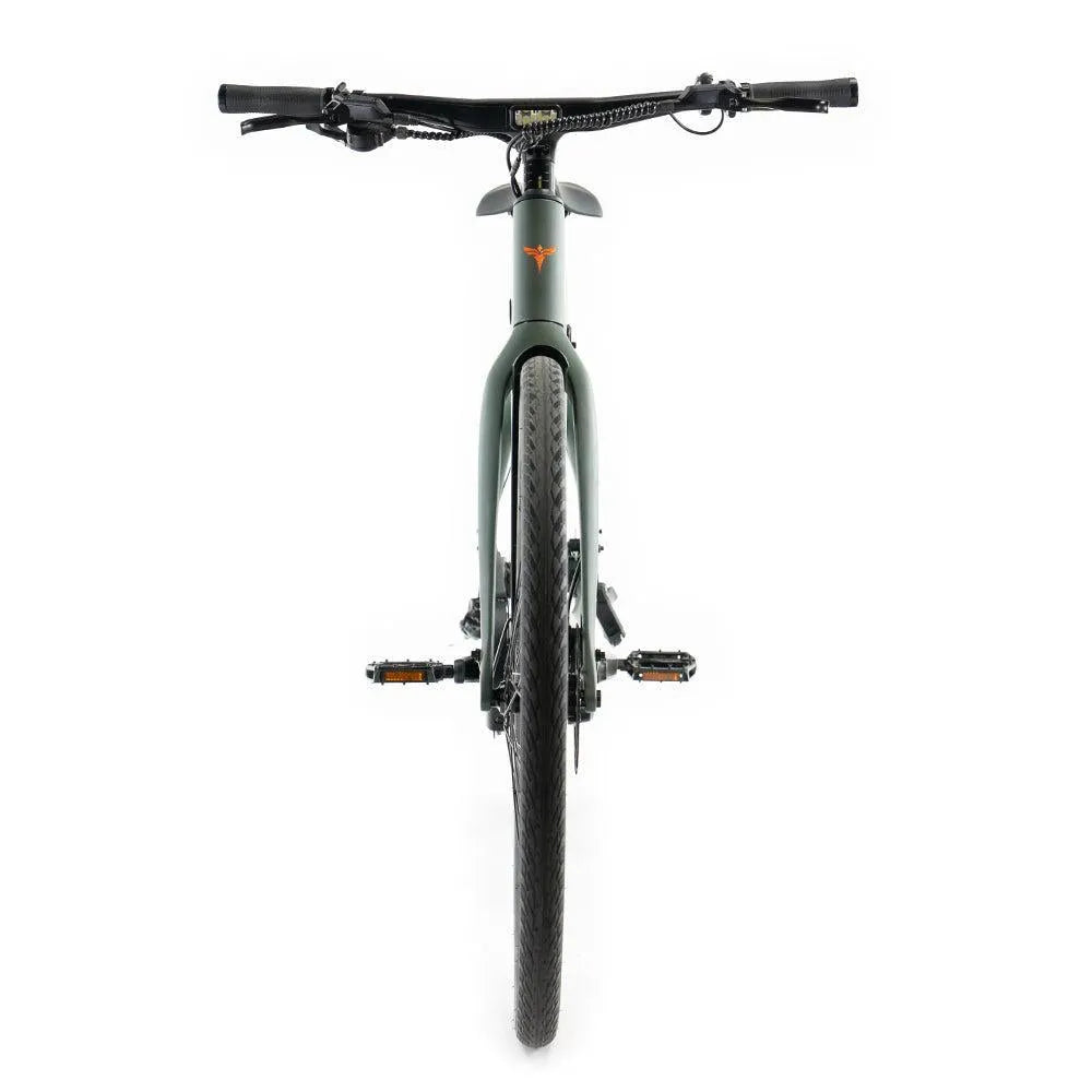 ENGWE Mapfour N1 Pro - Groen