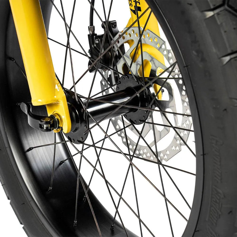 Ruff Cycles Lil'Missy - Baby B