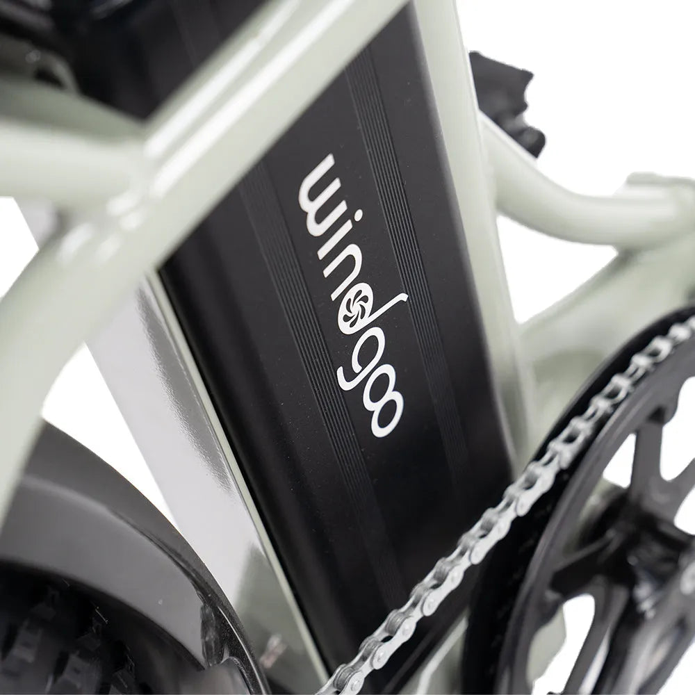 Windgoo E20 Pro - Mintgroen